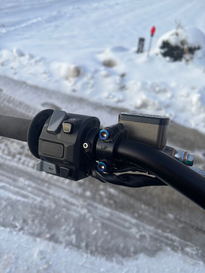 Ultra Bee Brake Mount Titanium Bolts (set of 2)