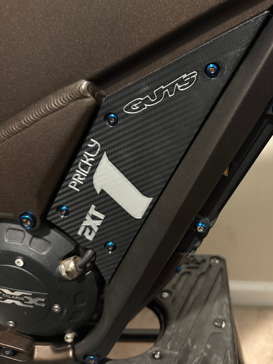 Talaria Side Panel Titanium Bolts (set of 8)